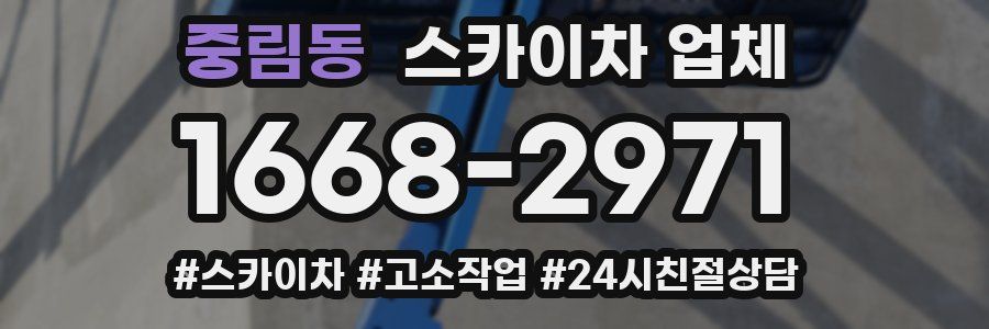 중림동 스카이차 업체
