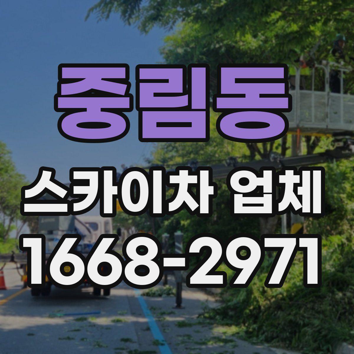 중림동 스카이차 업체