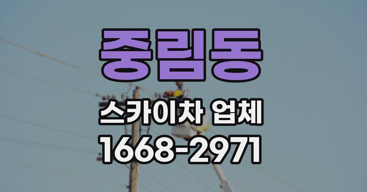 중림동 스카이차 업체