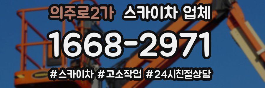 의주로2가 스카이차 업체