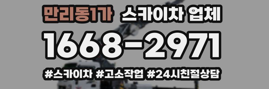 만리동1가 스카이차 업체