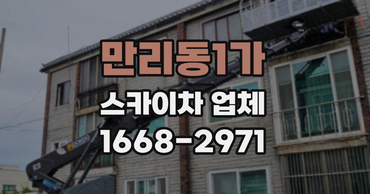 만리동1가 스카이차 업체