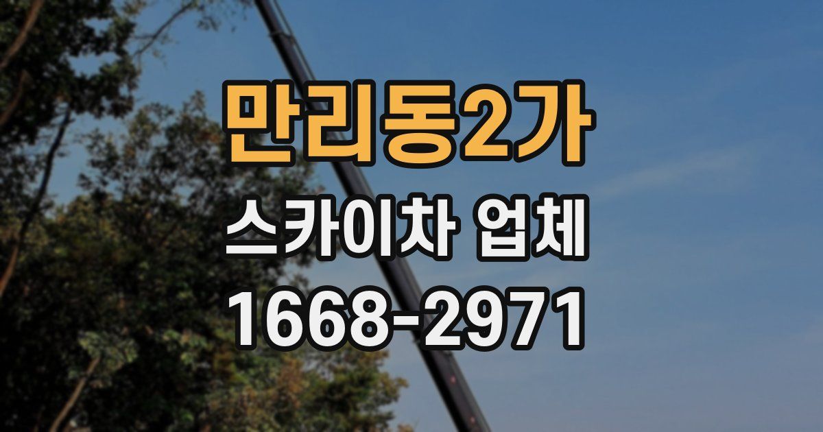만리동2가 스카이차 업체