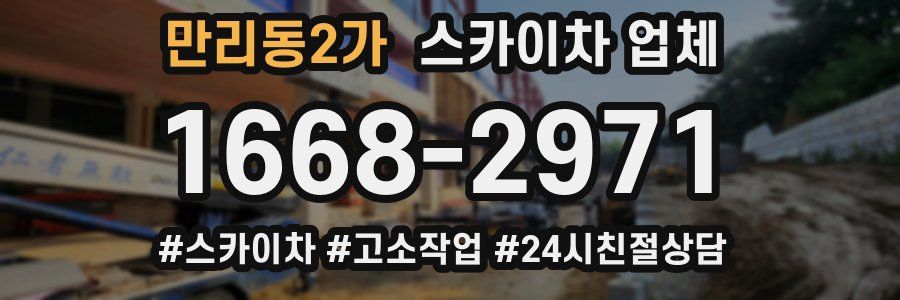 만리동2가 스카이차 업체