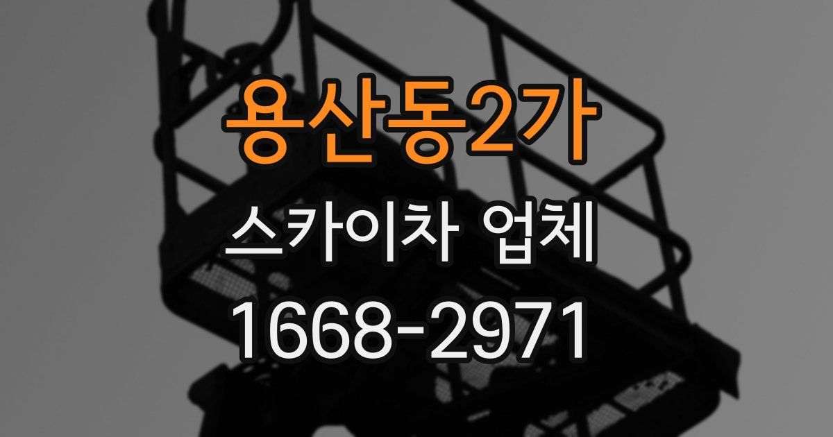 용산동2가 스카이차 업체