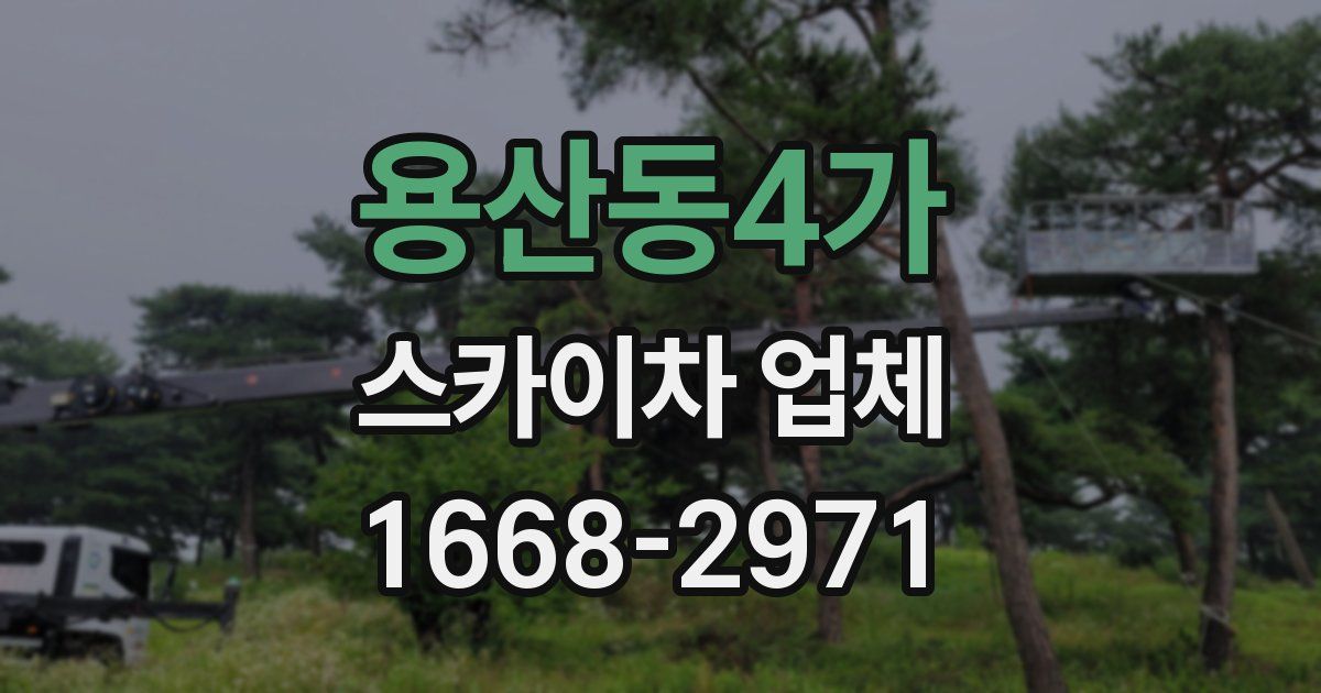 용산동4가 스카이차 업체