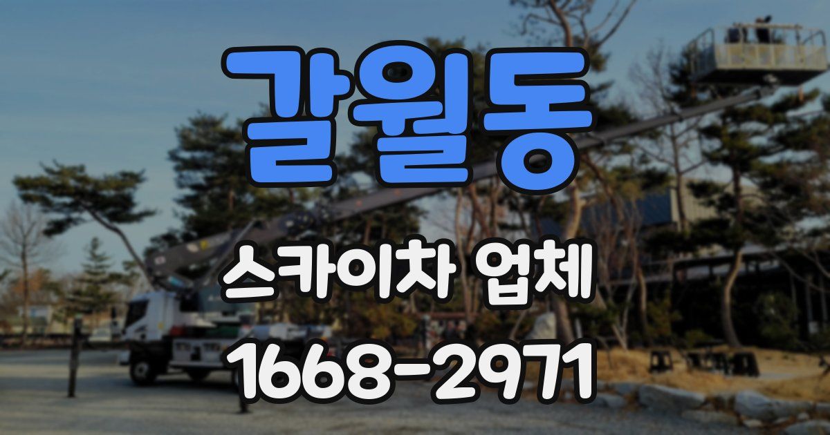 갈월동 스카이차 업체