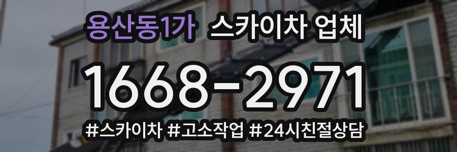 용산동1가 스카이차 업체