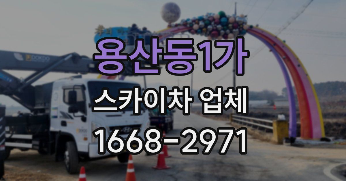 용산동1가 스카이차 업체