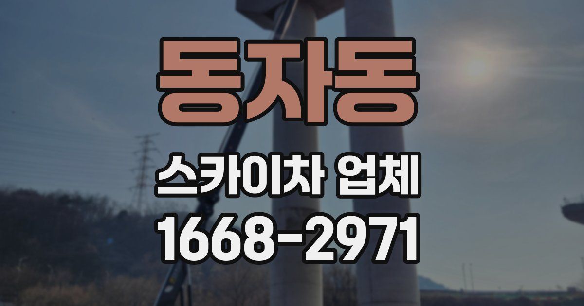 동자동 스카이차 업체
