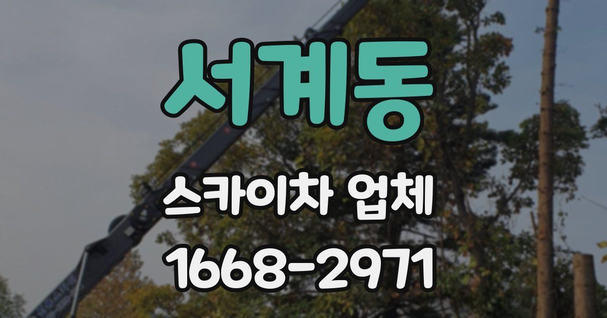서계동 스카이차 업체