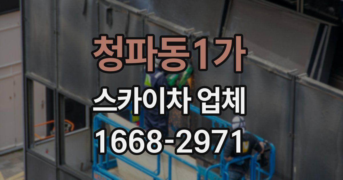 청파동1가 스카이차 업체