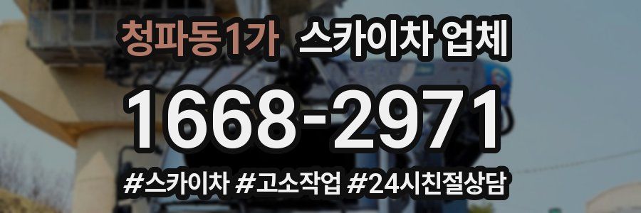 청파동1가 스카이차 업체
