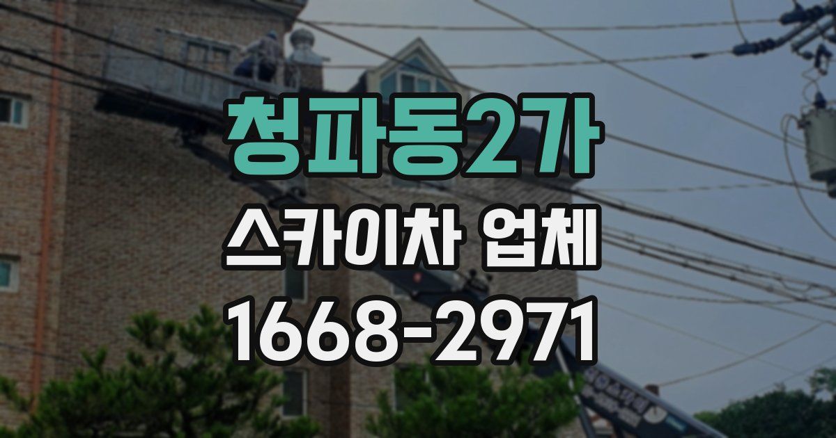 청파동2가 스카이차 업체