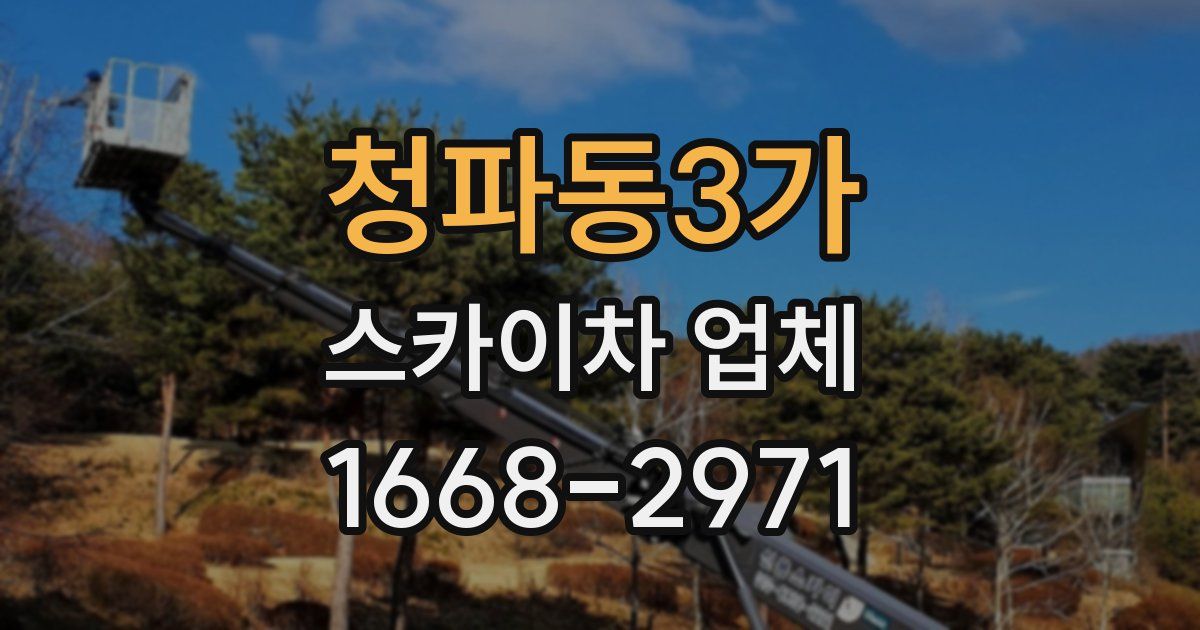 청파동3가 스카이차 업체