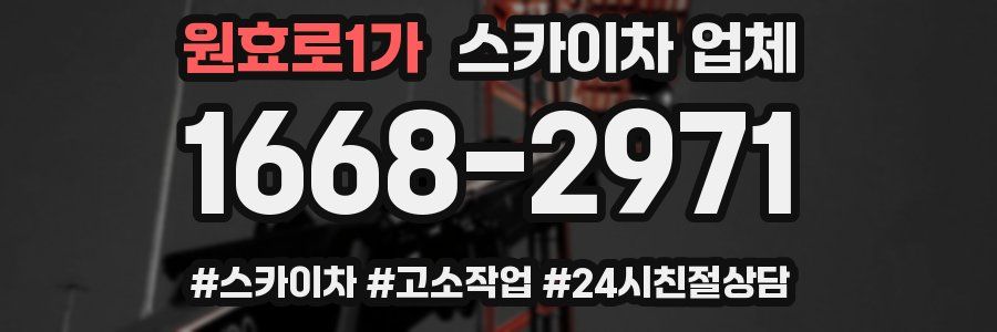 원효로1가 스카이차 업체