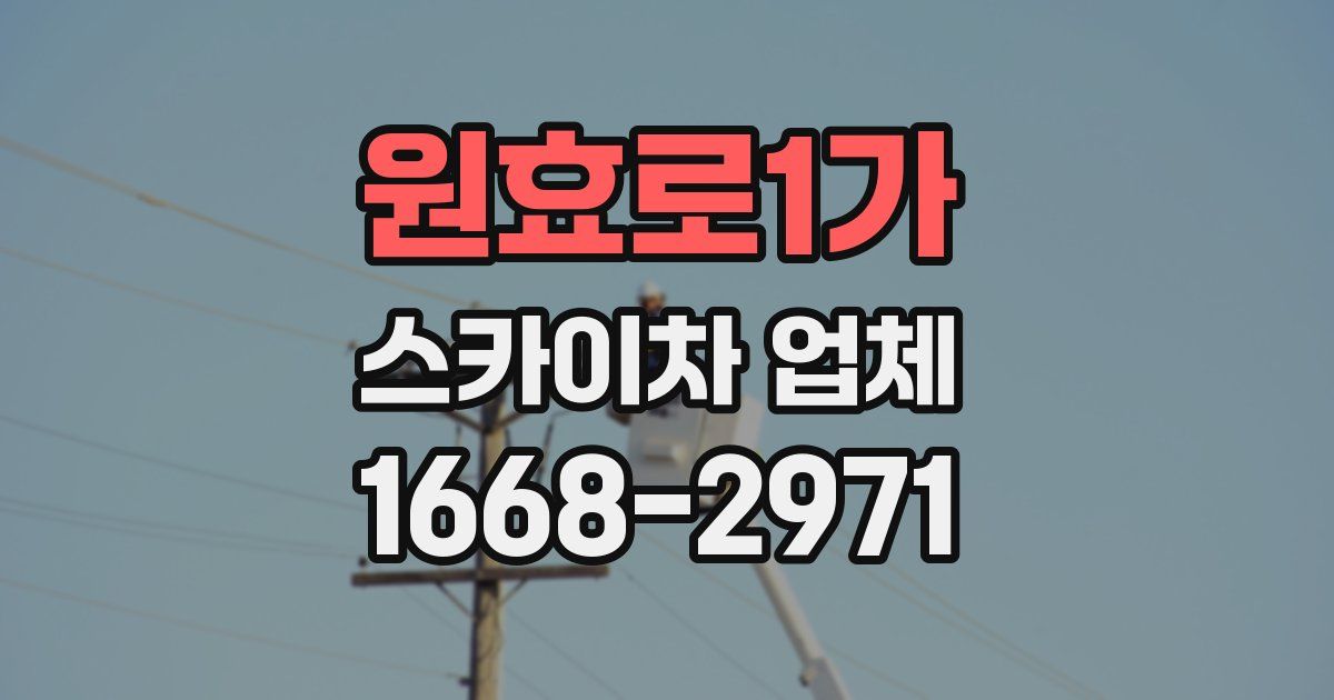 원효로1가 스카이차 업체