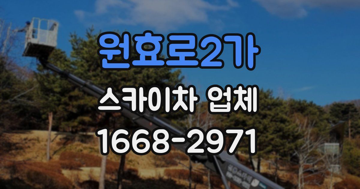 원효로2가 스카이차 업체