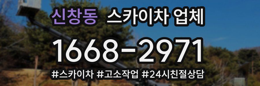 신창동 스카이차 업체