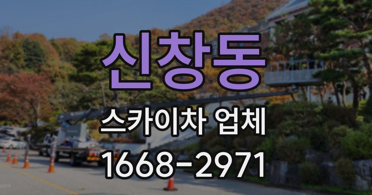 신창동 스카이차 업체
