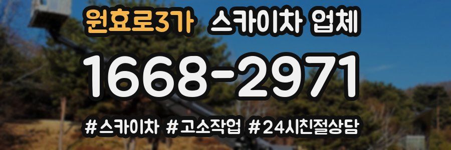 원효로3가 스카이차 업체