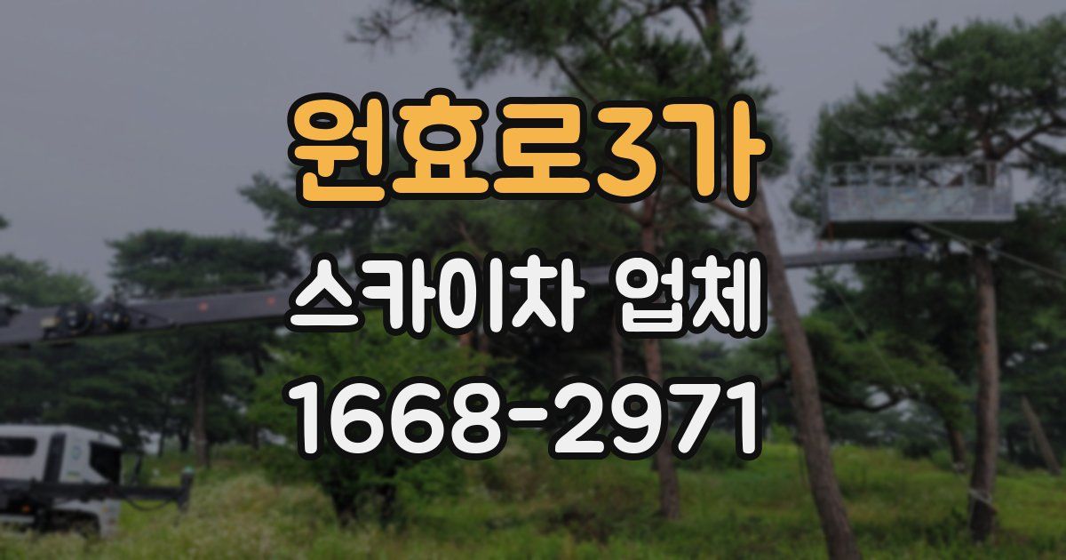 원효로3가 스카이차 업체
