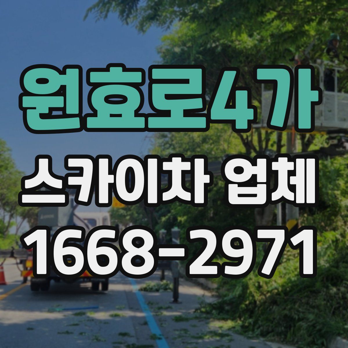 원효로4가 스카이차 업체