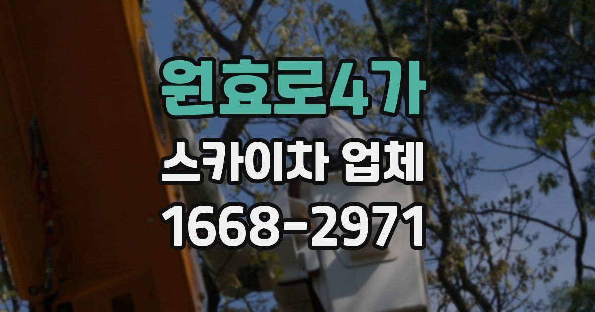 원효로4가 스카이차 업체