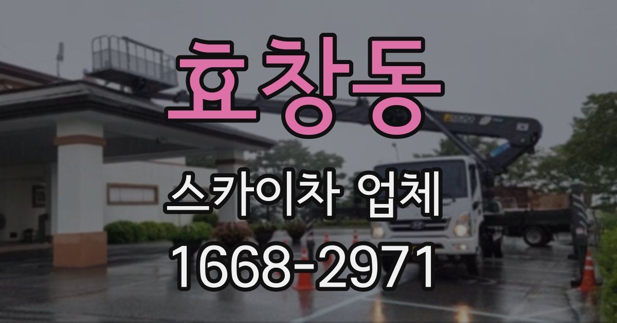 효창동 스카이차 업체