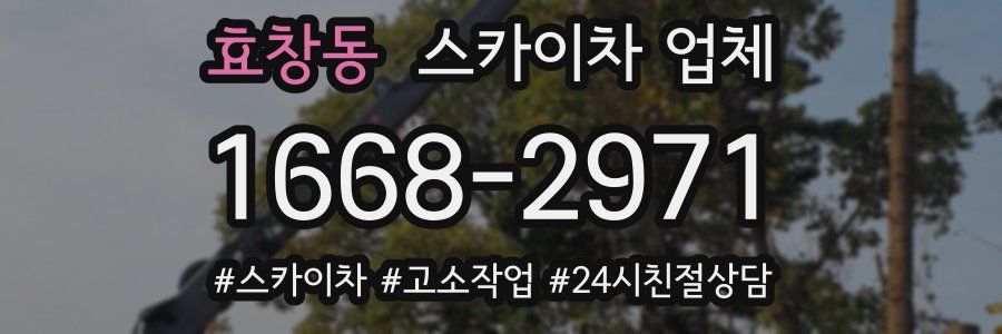 효창동 스카이차 업체