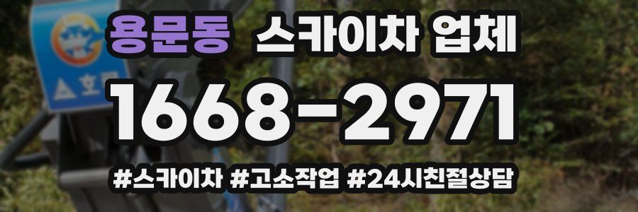 용문동 스카이차 업체