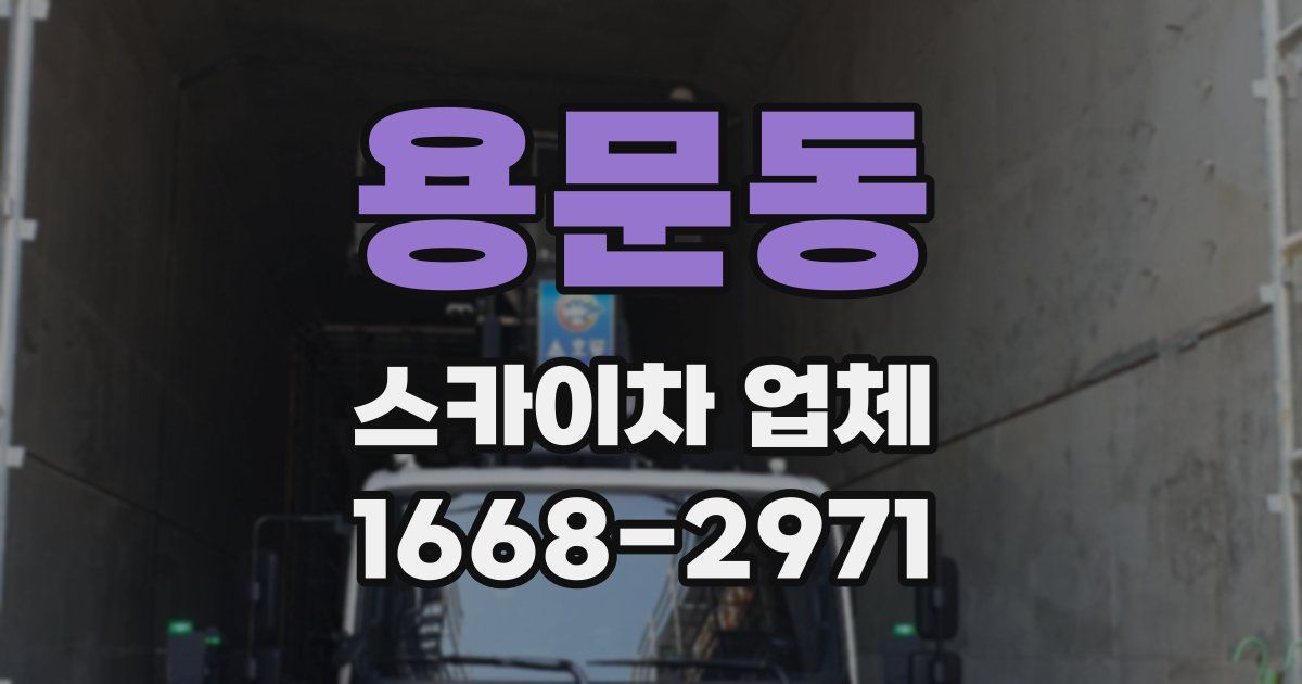 용문동 스카이차 업체