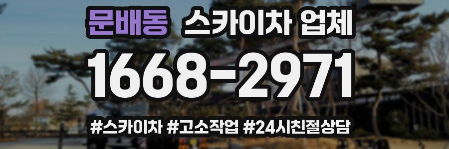 문배동 스카이차 업체