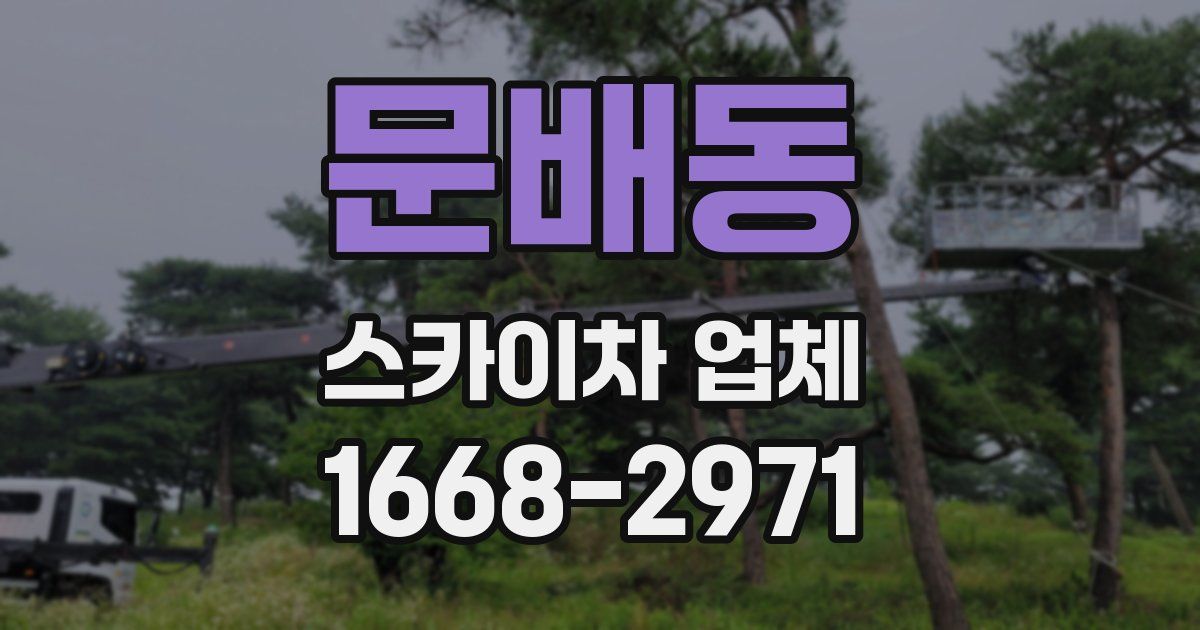 문배동 스카이차 업체