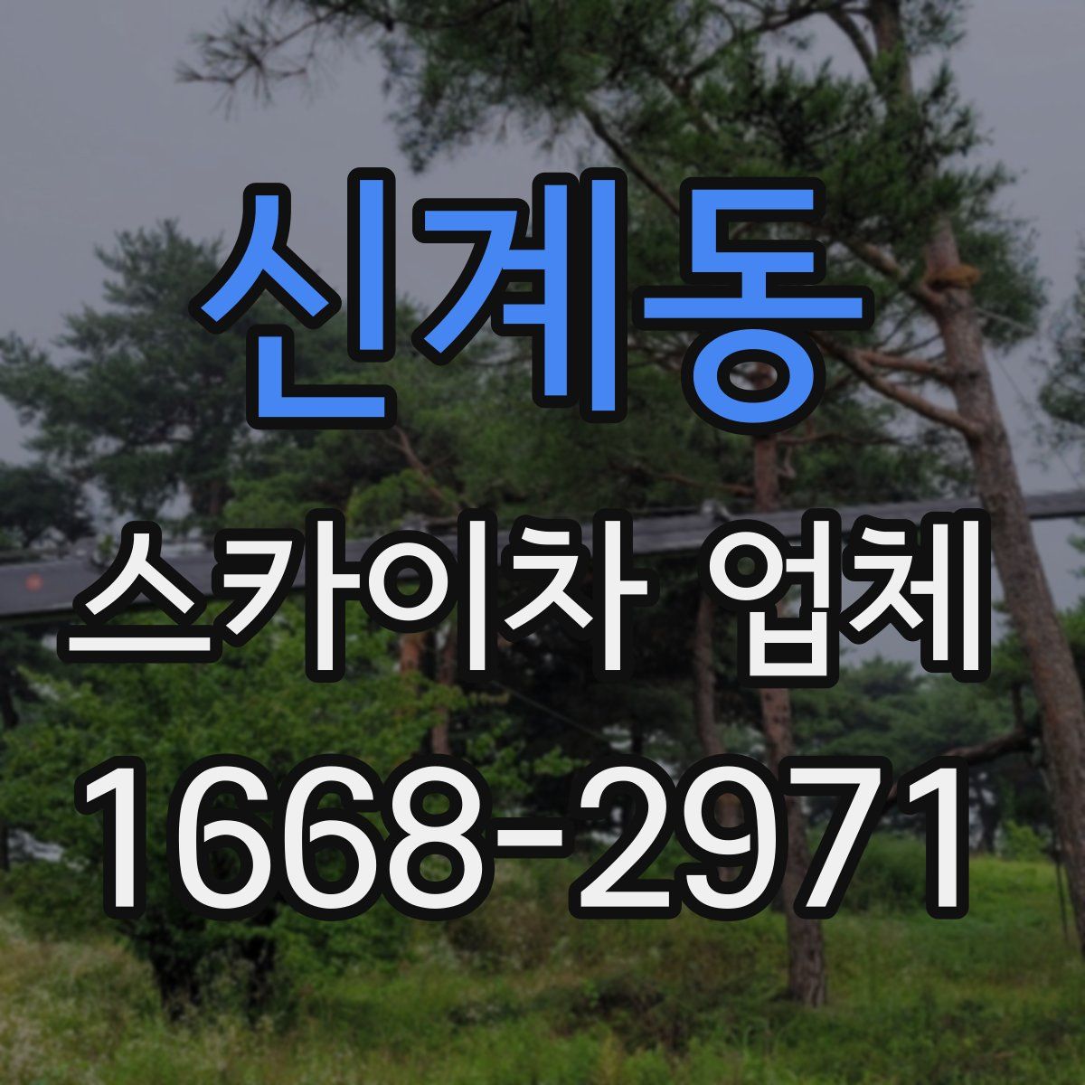 신계동 스카이차 업체