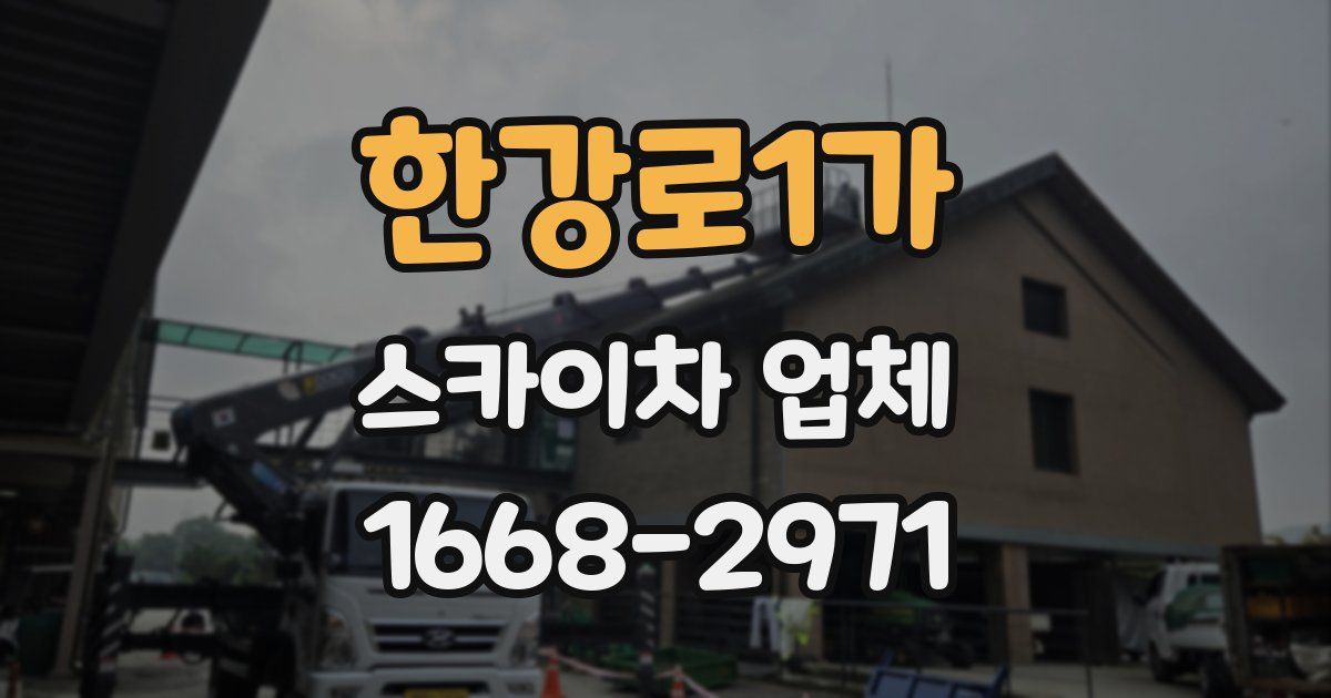 한강로1가 스카이차 업체