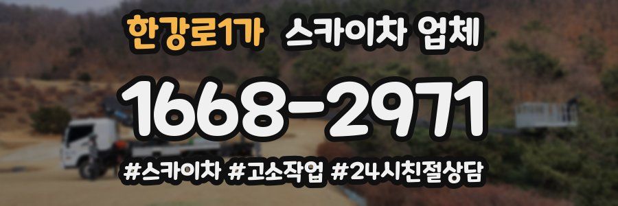 한강로1가 스카이차 업체