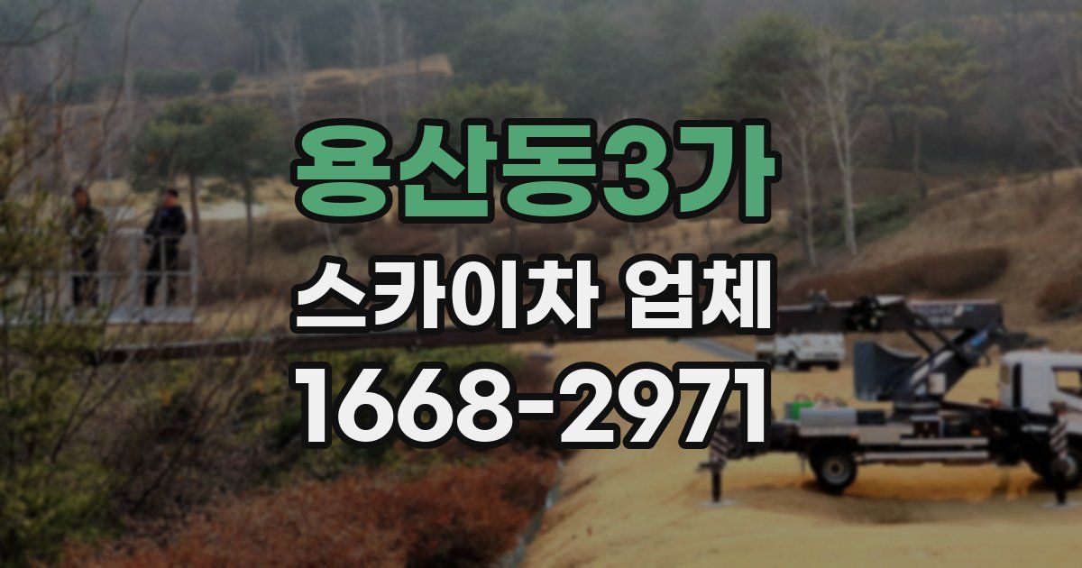 용산동3가 스카이차 업체