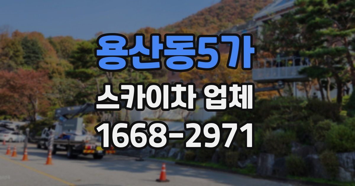 용산동5가 스카이차 업체