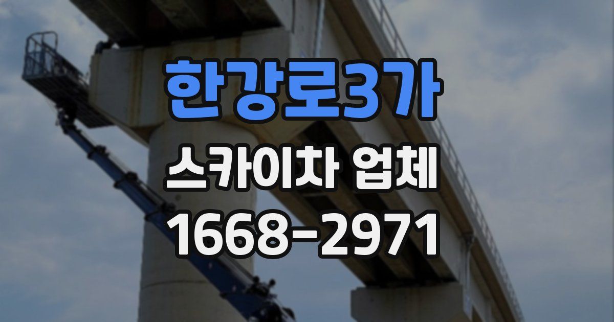 한강로3가 스카이차 업체