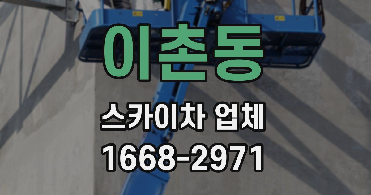 이촌동 스카이차 업체