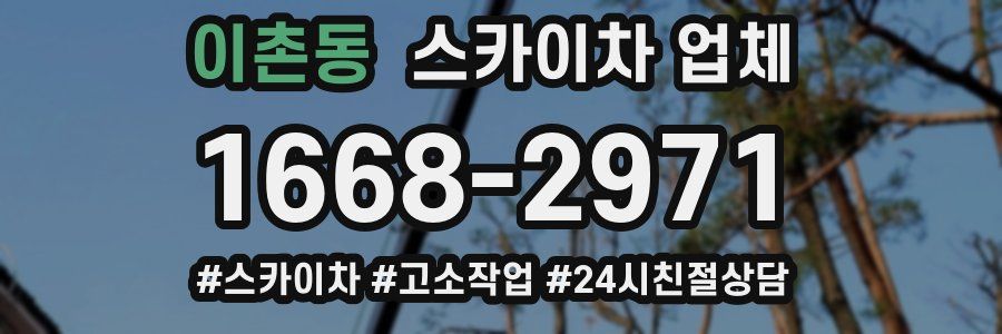 이촌동 스카이차 업체
