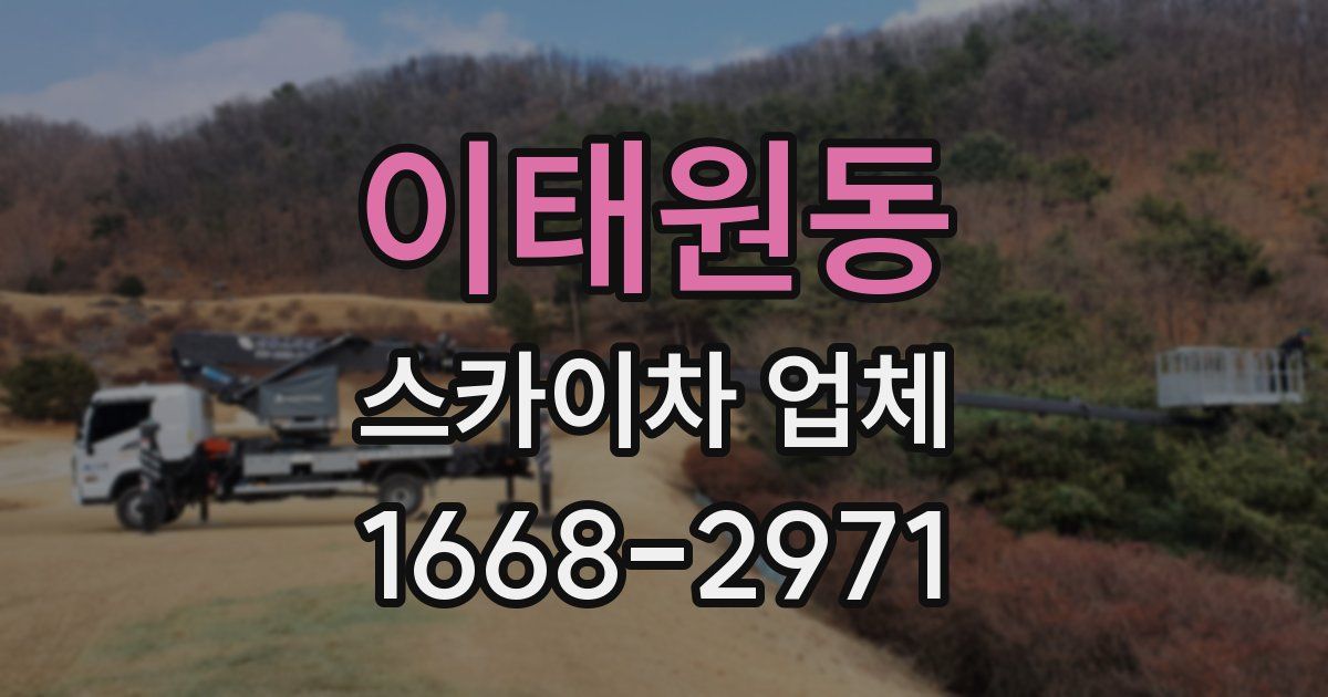이태원동 스카이차 업체