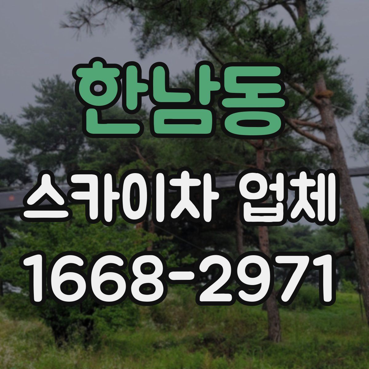 한남동 스카이차 업체