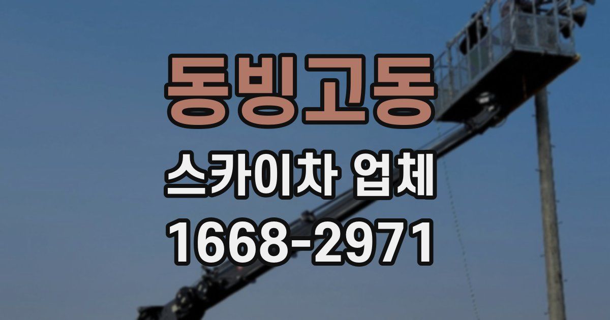 동빙고동 스카이차 업체