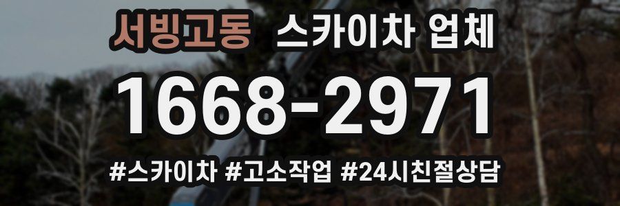 서빙고동 스카이차 업체