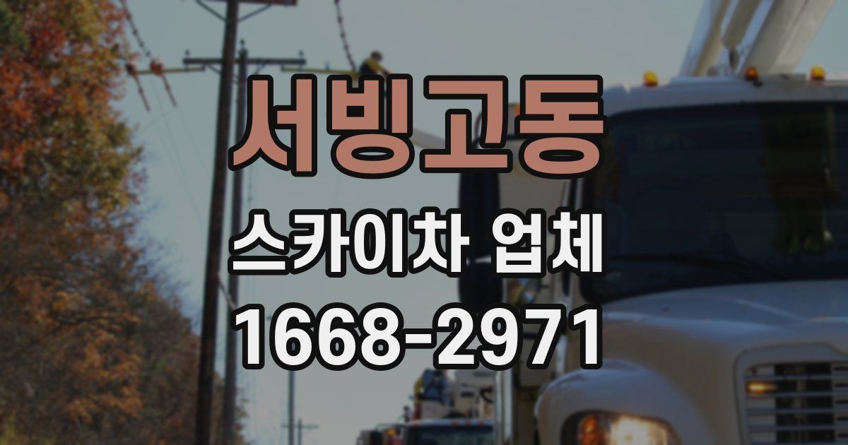 서빙고동 스카이차 업체