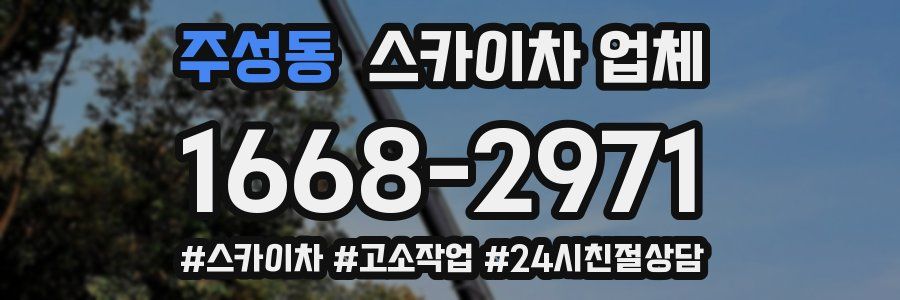 주성동 스카이차 업체
