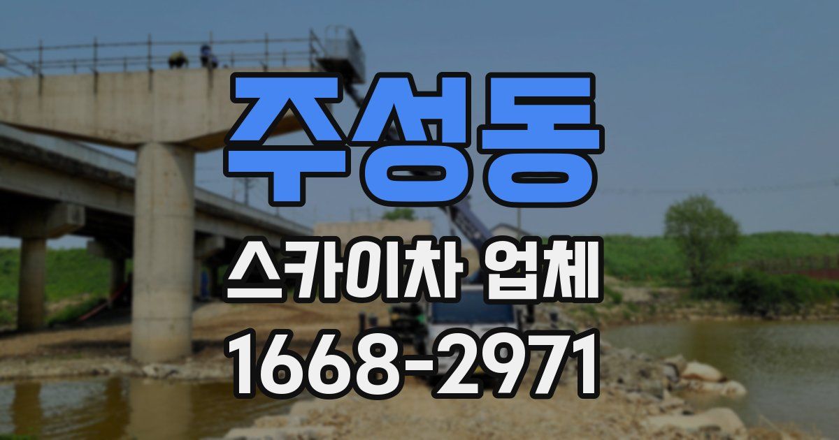 주성동 스카이차 업체
