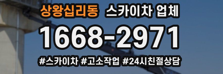 상왕십리동 스카이차 업체